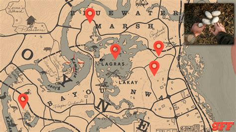 mapa do colecionador red dead 2.
